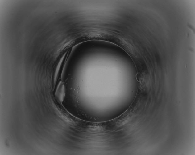 X0000093590454200710151207