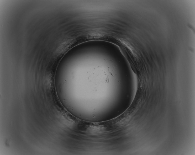 X0000093590455200710151207