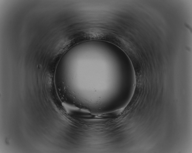 X0000093590456200710151207