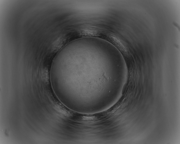X0000093590457200710151207