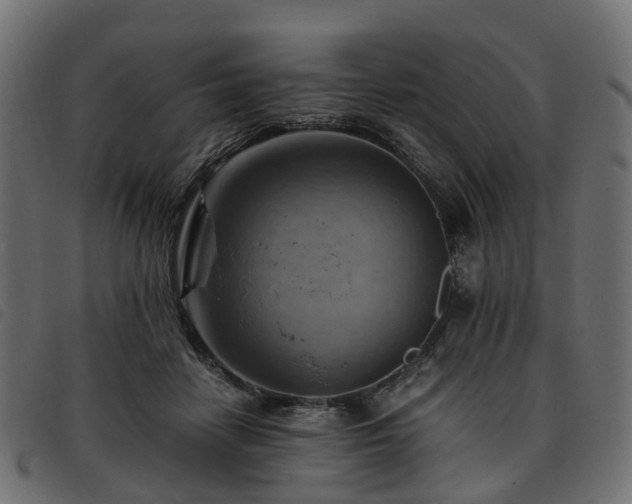 X0000093590458200710151207