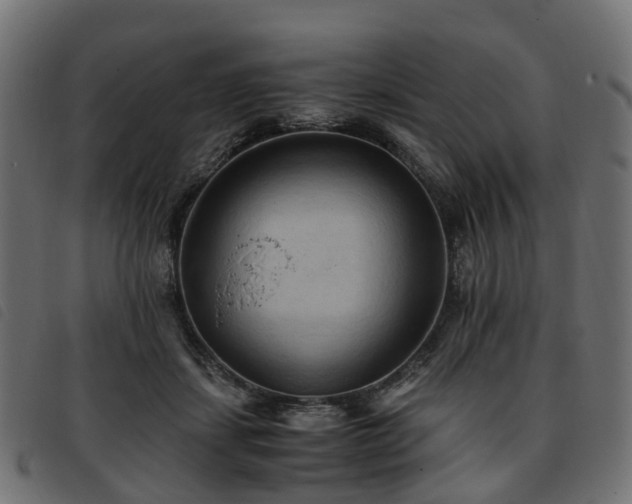 X0000093590459200710151207