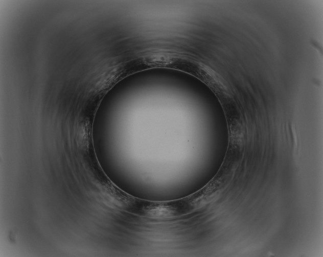 X0000093590460200710151207