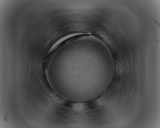 X0000093590461200710151207