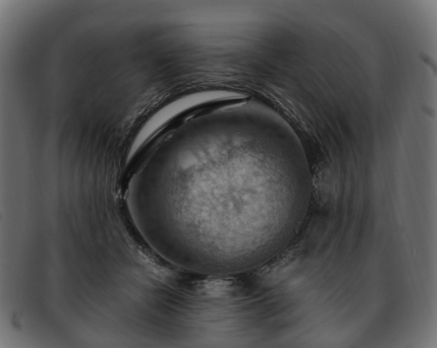 X0000093590462200710151207