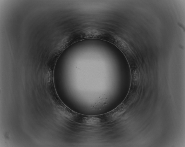 X0000093590463200710151207