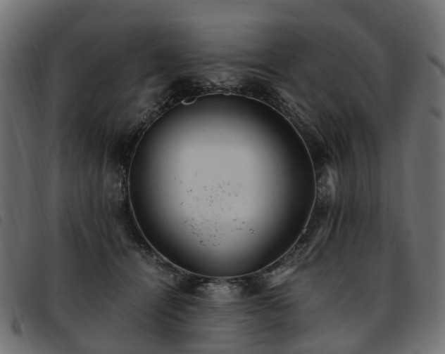 X0000093590464200710151207