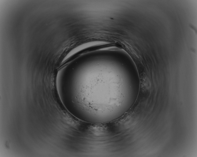 X0000093590466200710151208