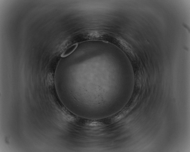 X0000093590467200710151208