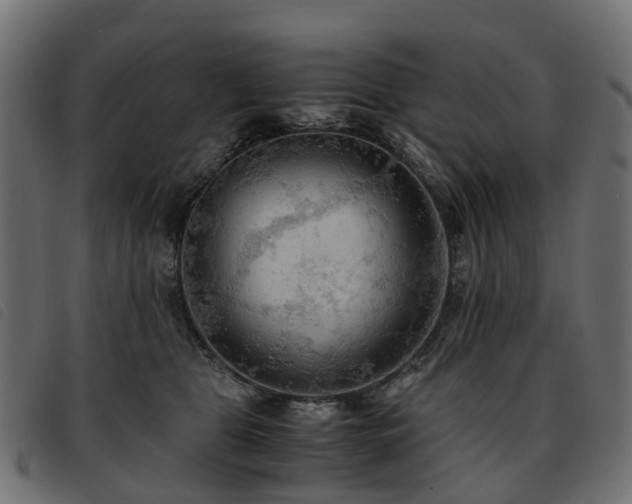 X0000093590469200710151208