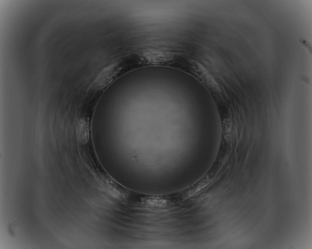 X0000093590471200710151208