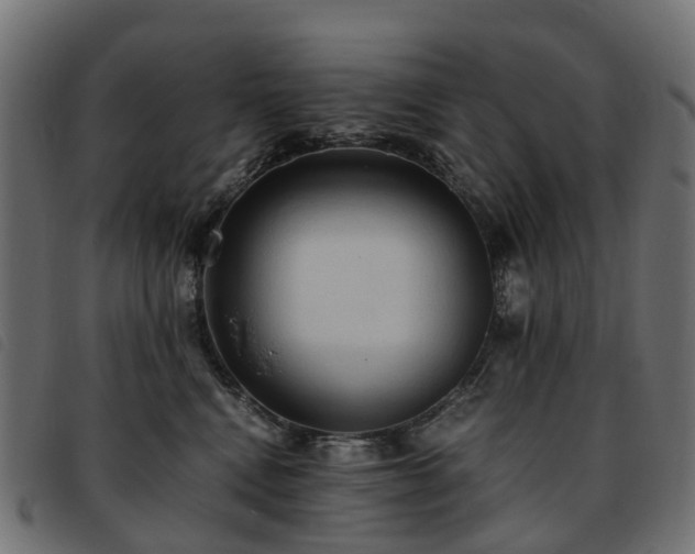 X0000093590472200710151208