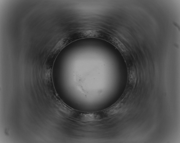 X0000093590473200710151208