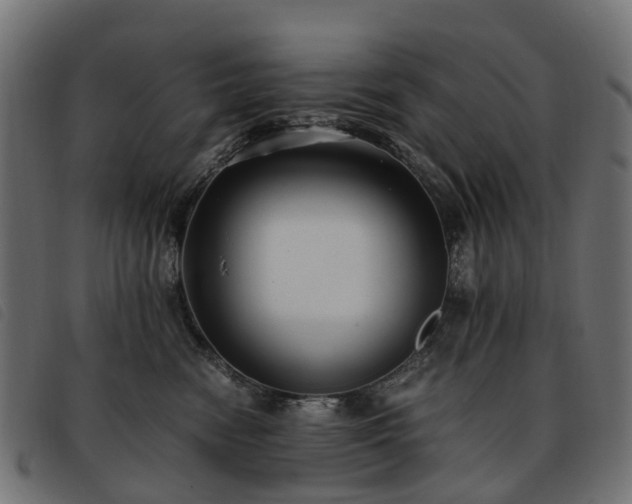 X0000093590474200710151208