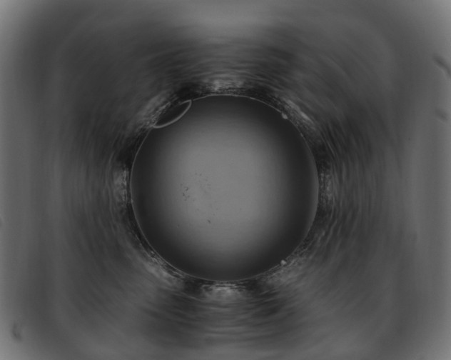 X0000093590475200710151208