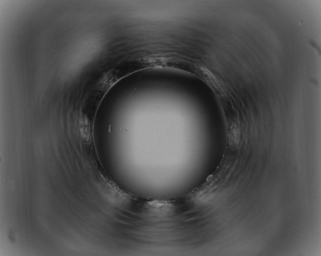 X0000093590477200710151208