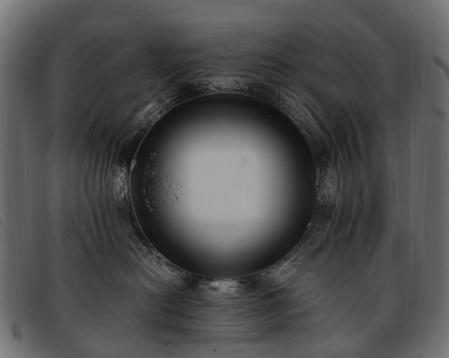 X0000093590478200710151208