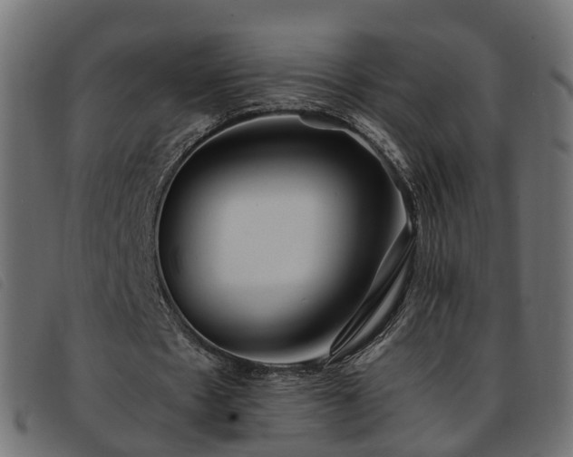 X0000093590481200710151207