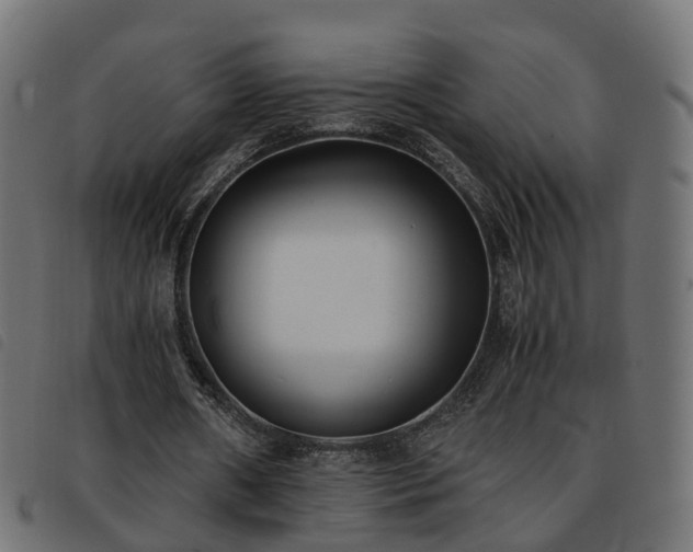 X0000093590482200710151207