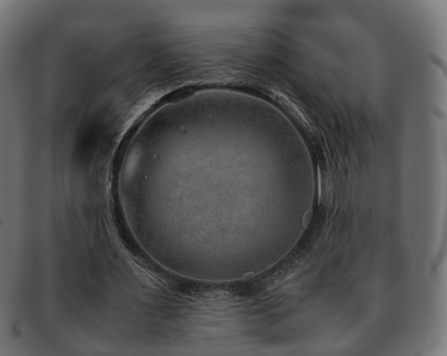 X0000093590483200710151207