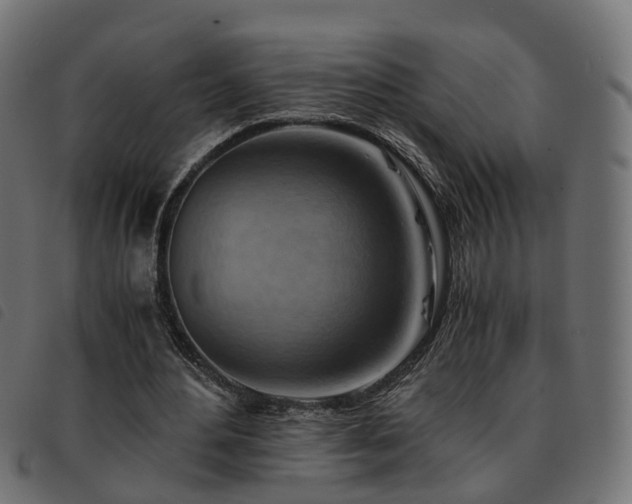 X0000093590484200710151207