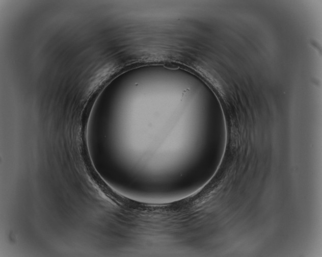 X0000093590485200710151207