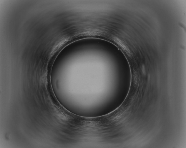 X0000093590486200710151207