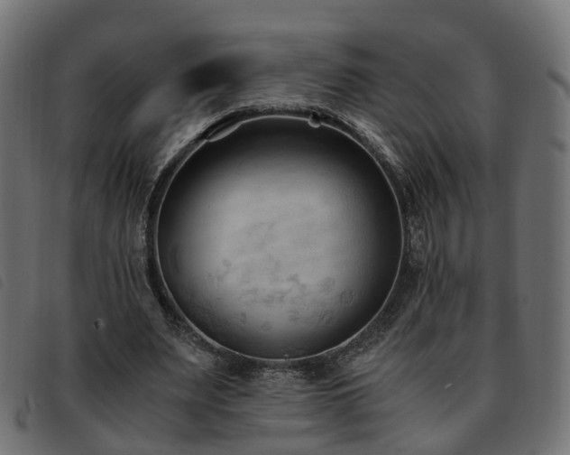 X0000093590487200710151207