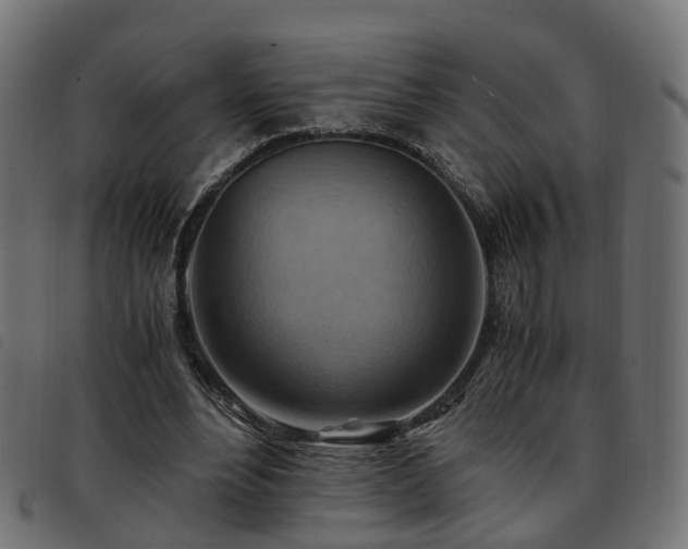 X0000093590488200710151207