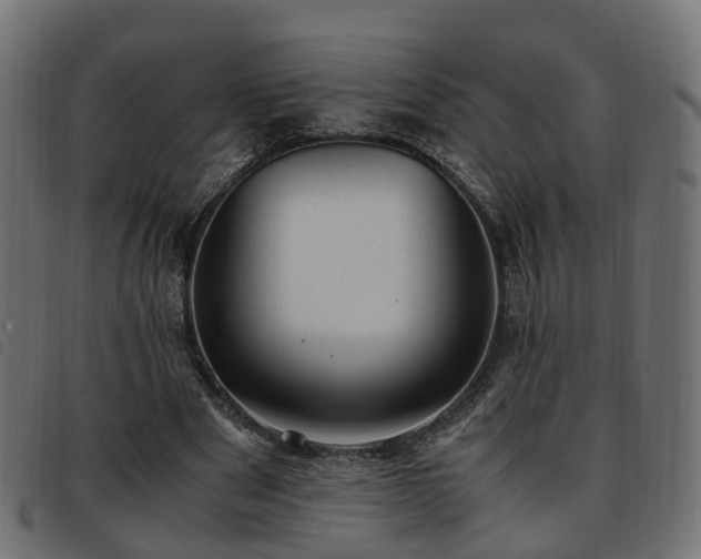 X0000093590489200710151207