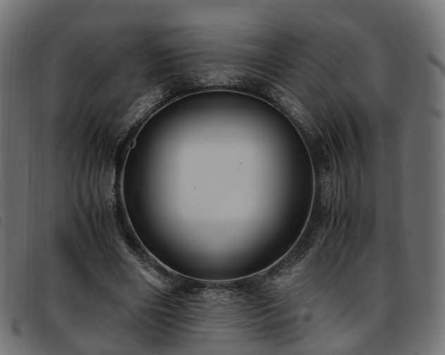 X0000093590490200710151207