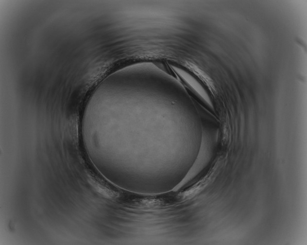 X0000093590493200710151207