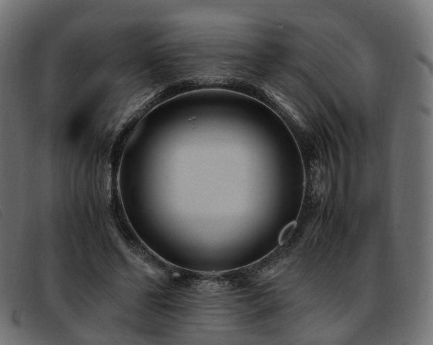 X0000093590494200710151207