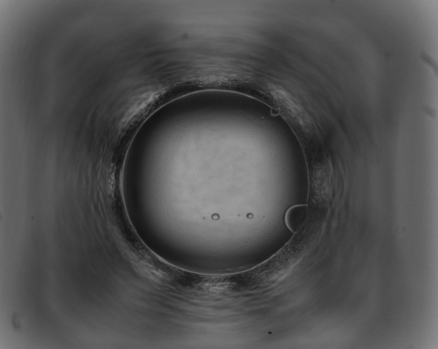 X0000093590495200710151207