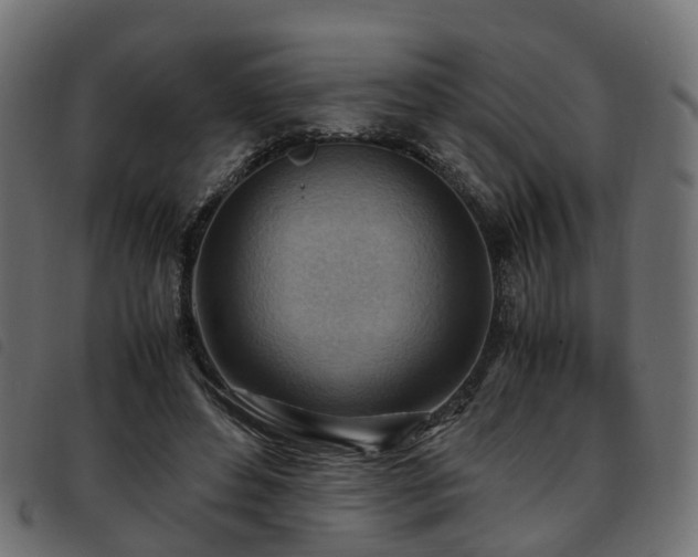 X0000093590496200710151207