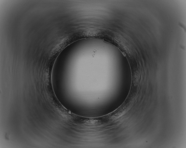 X0000093590497200710151207