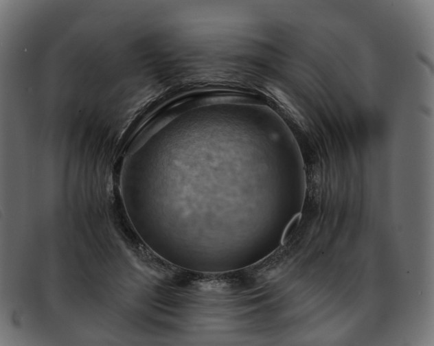 X0000093590500200710151207