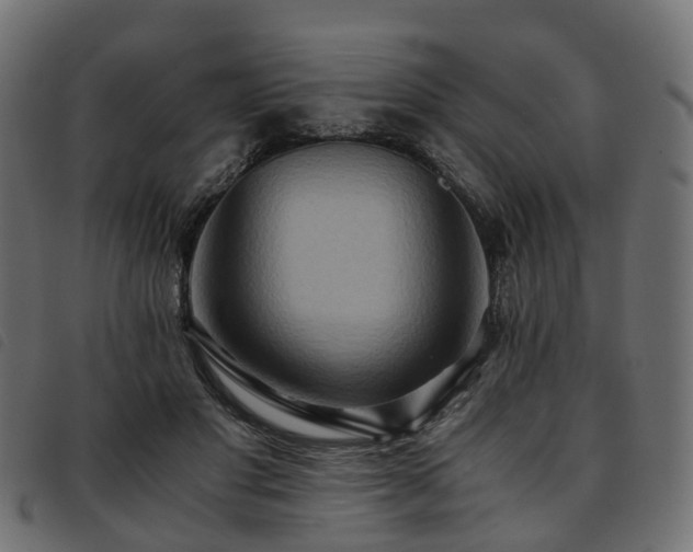 X0000093590501200710151207