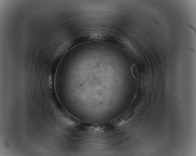 X0000093590502200710151207