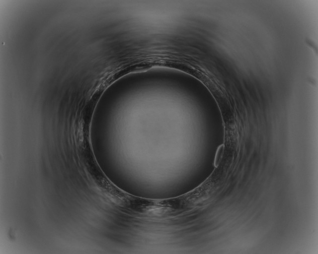 X0000093590504200710151207