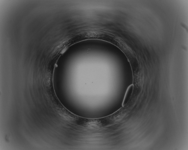 X0000093590505200710151207