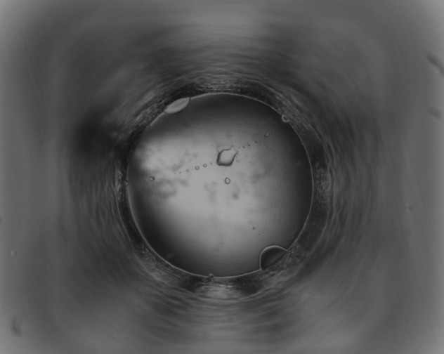 X0000093590507200710151207