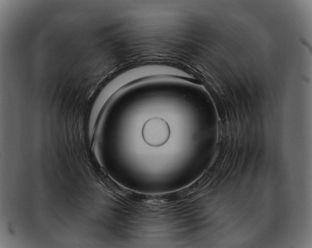 X0000093590508200710151207