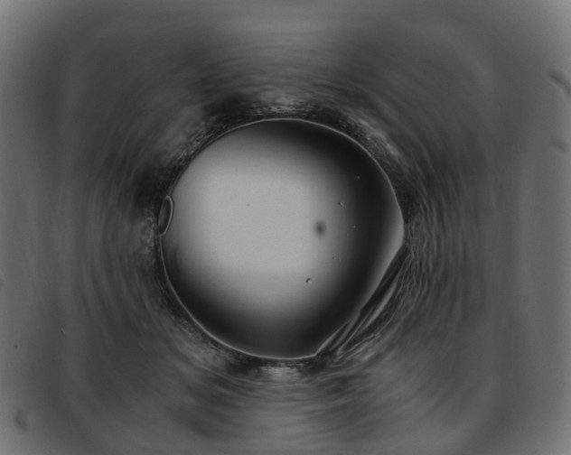 X0000093590509200710151207