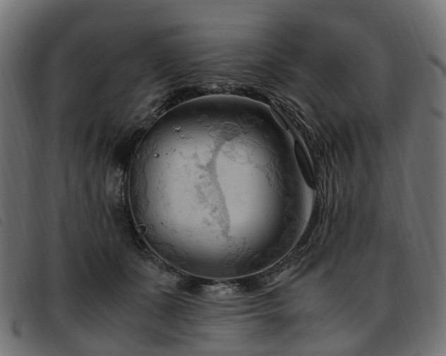 X0000093590511200710151207