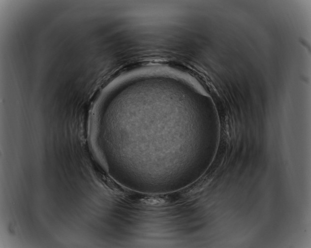 X0000093590512200710151207