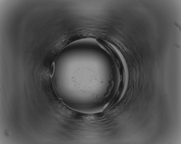 X0000093590513200710151207