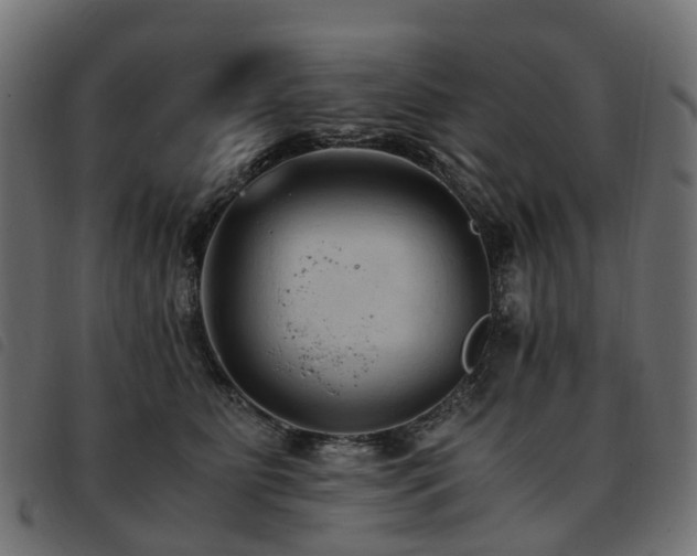 X0000093590515200710151207