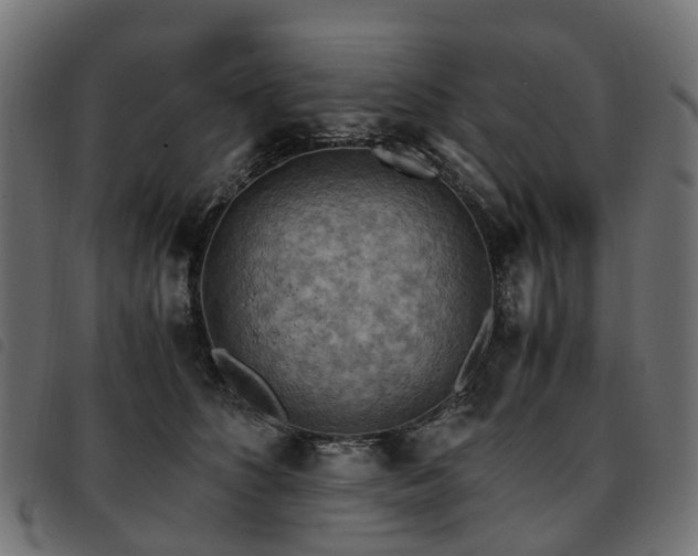 X0000093590516200710151207