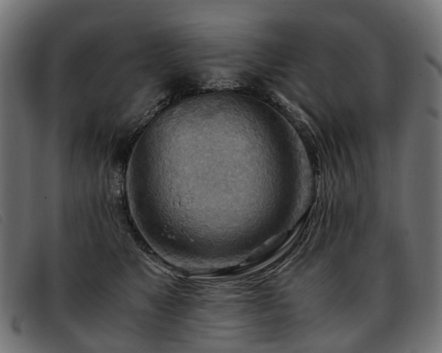 X0000093590517200710151207